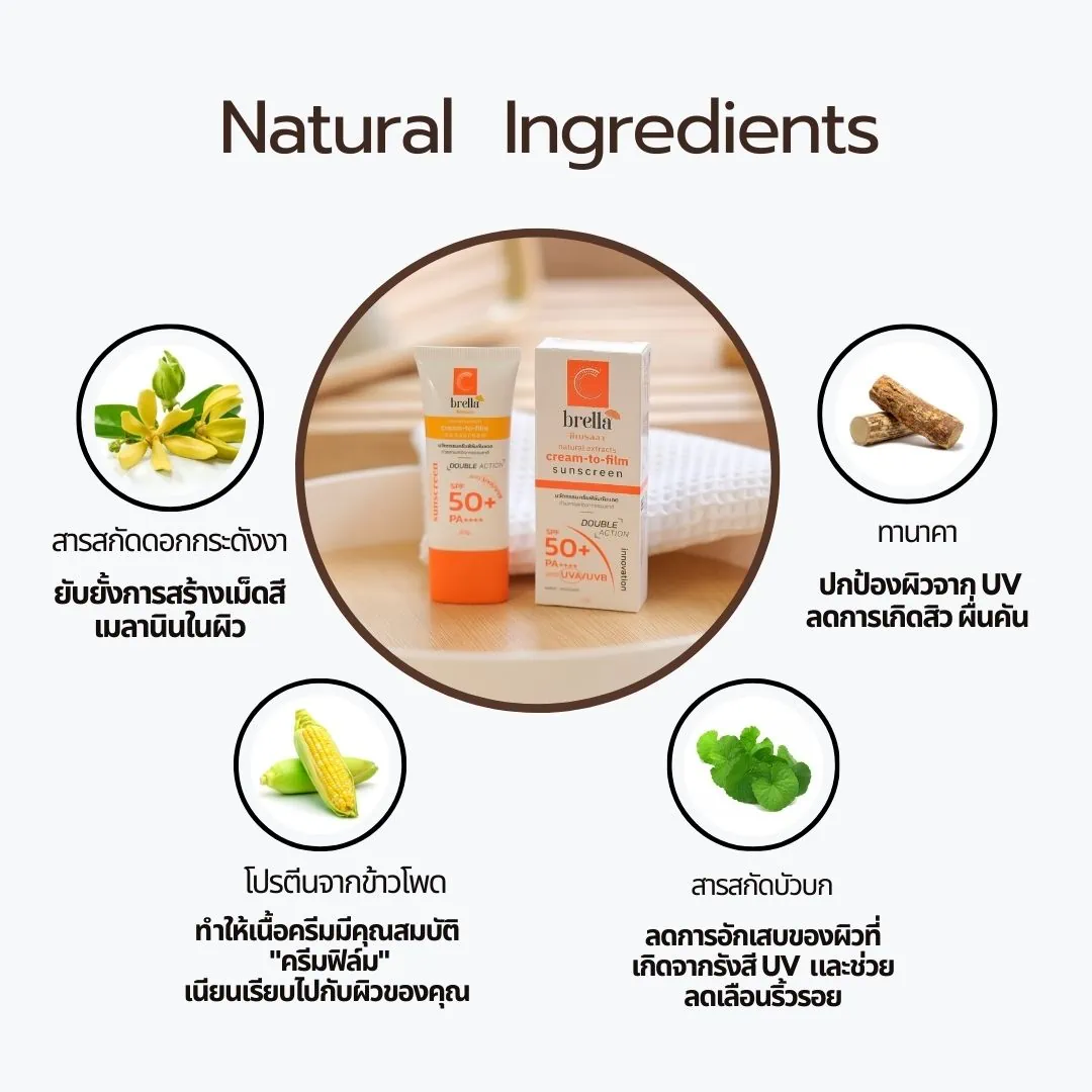 กันแดดซีเบรลลา Cbrella Cream-To-Film Innovation กันแดดงานวิจัยเภสัชจุฬา - Image 2